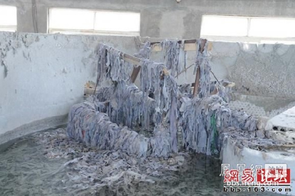 恶心!实拍用胶囊工业明胶生产车间