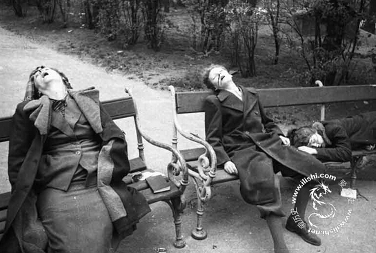 为纳粹自杀的殉道者们(组图)-读书频道-和讯网