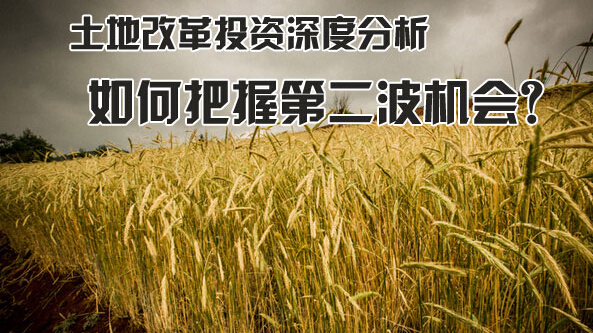 王生成生财有道怎么样 170880493.jpg